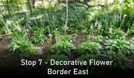 Stop 7 - Decorative Flower Border East